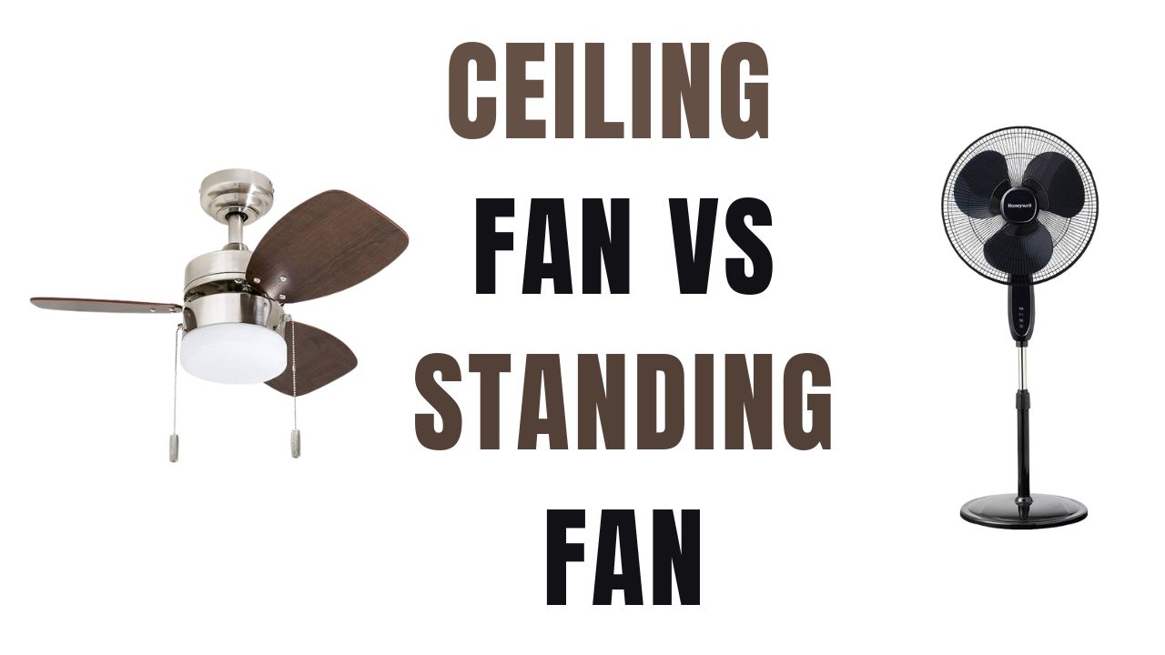 Ceiling Fan Vs Standing Fan